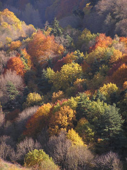 AV Oktober