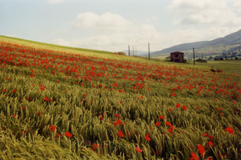 AVklaprozen chanteuges03